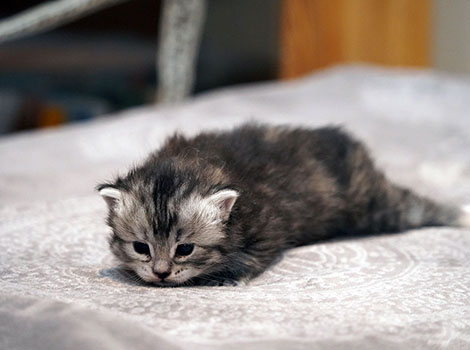 Viktoria am 27. Januar 2026